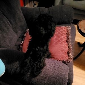 Meet your Posher, Jessica